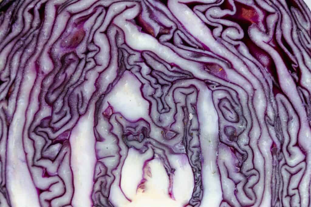 sliced-cabbage