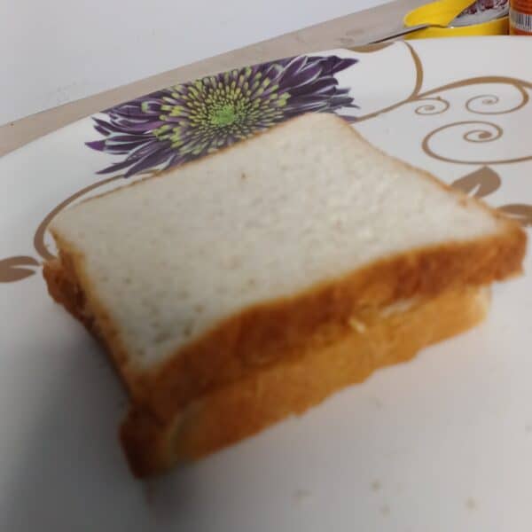 peanut-butter-sandwich